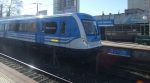 Tren Roca