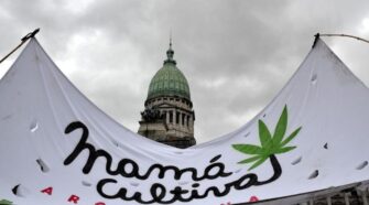 mama cultiva celebro la nueva reglamentacion el cultivo y uso cannabis fines medicinales
