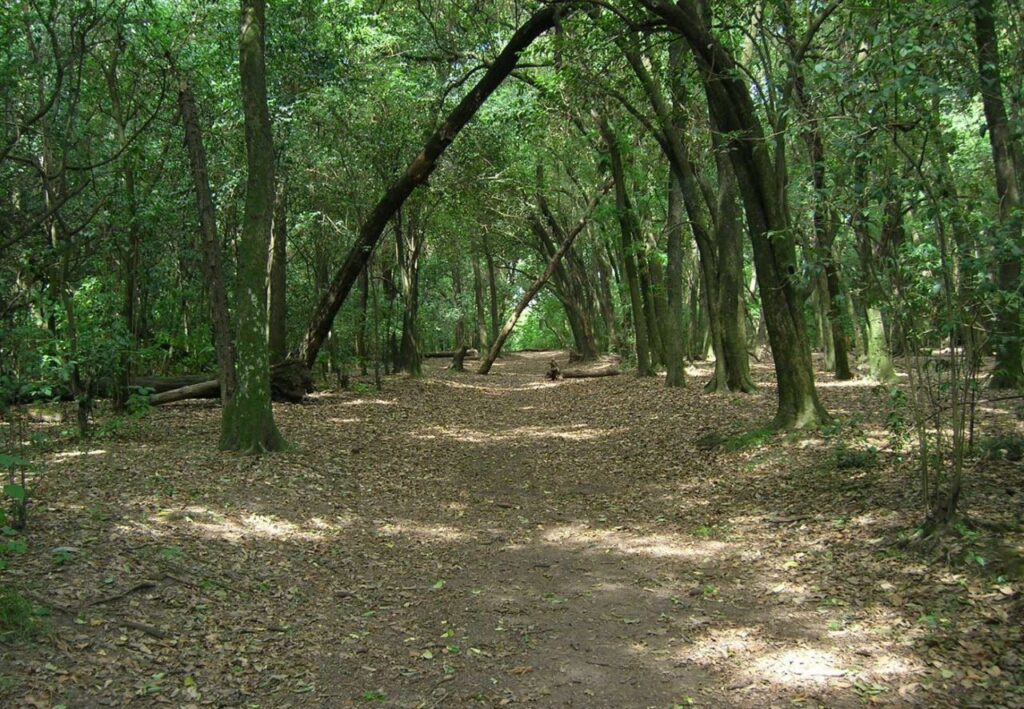 Reserva Natural de Santa Catalina