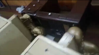 Vandalizaron sede STML