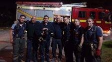rescate de perro bomberos