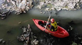Rescate de perritos en Lomas de Zamora