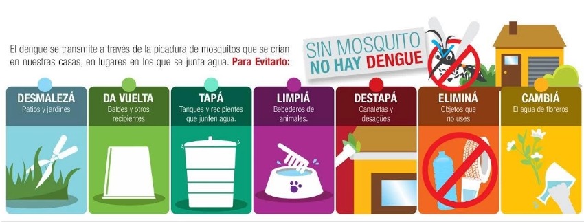 FireShot Capture 2413 Confirmaron que hay circulacion comunitaria de Dengue y Chikungunya noticiasargentinas.com