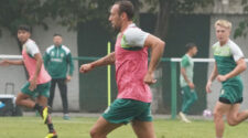 Banfield