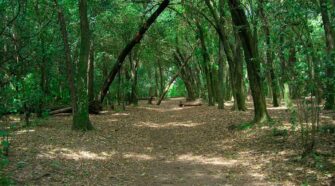 Reserva Santa Catalina