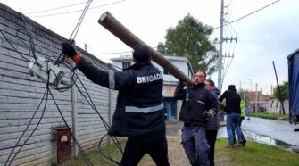 Insólito: un camión tiró 16 postes de luz en Lanús