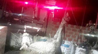 rescate caballo
