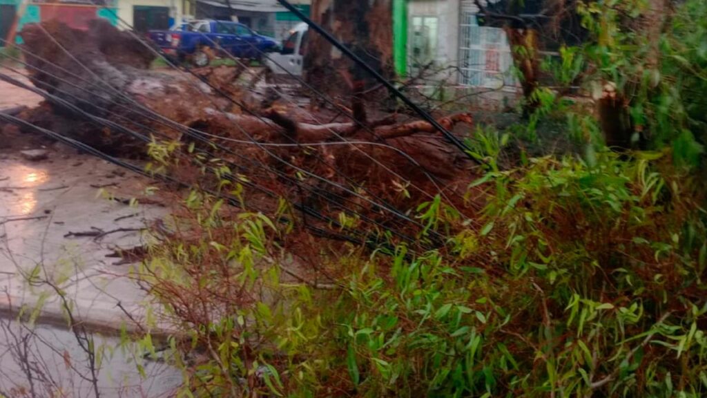 Evacuados y postes caídos por el temporal en Lanús