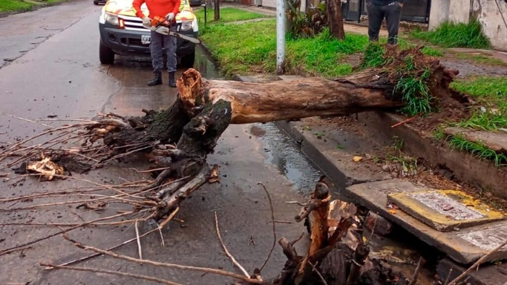 Evacuados y postes caídos por el temporal en Lanús