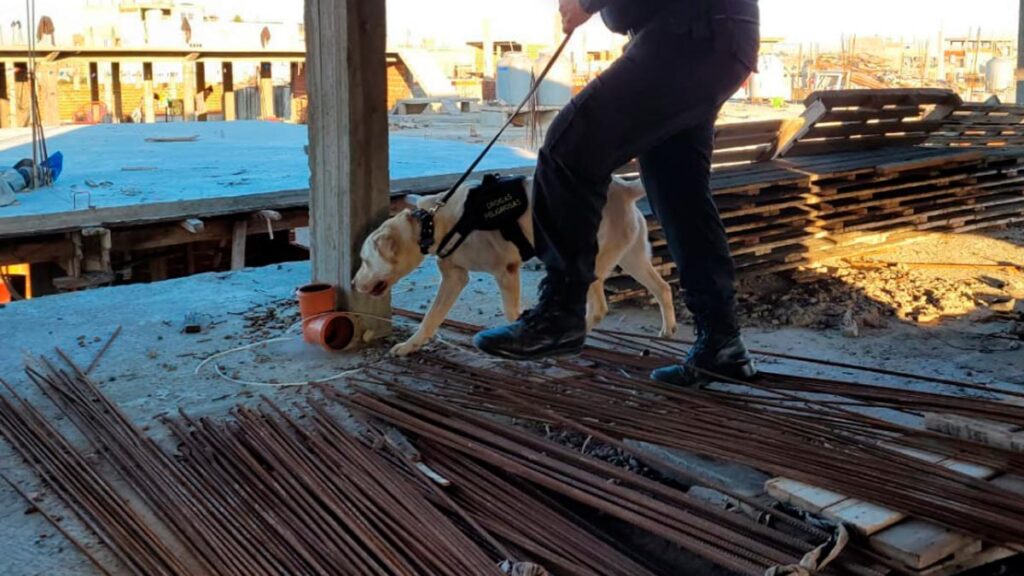 Operativo Conejo Blanco: desarticularon una cocina de cocaína en Lomas de Zamora