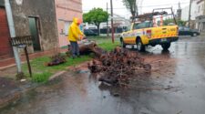 El paso del temporal dejó árboles y postes caídos en Lanús