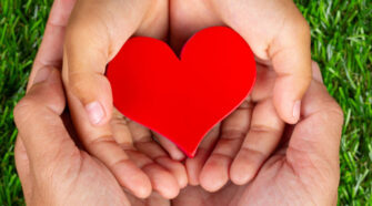 En 2023 se realizaron 4.264 trasplantes