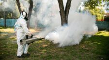 fumigación mosquitos