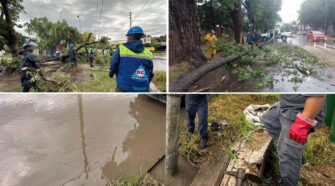 temporal Almirante Brown
