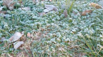 frio extremo heladas