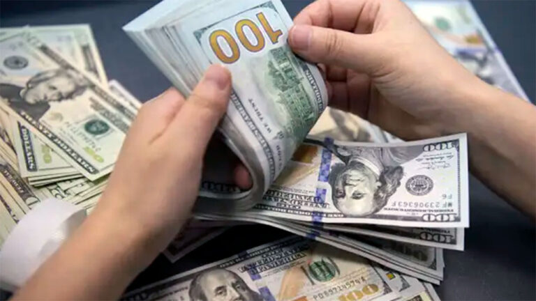 Dólar hoy: El blue se mantuvo estable y el MEP subió 0,60%