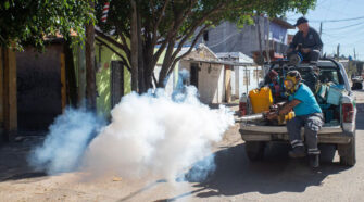 Fumigación Dengue Lanús