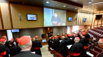 Murió el Papa - Cardenales