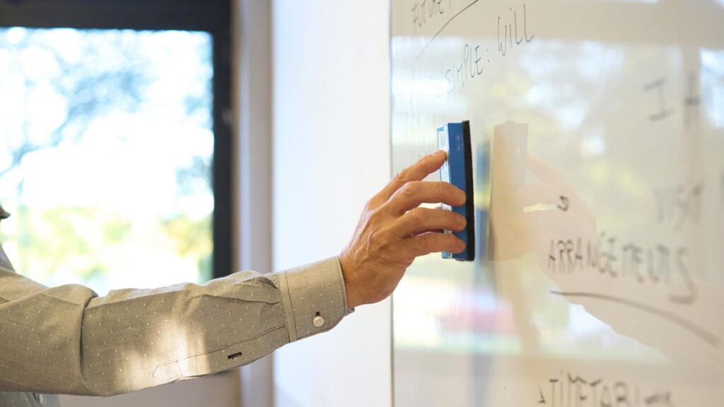 docentes universitarios