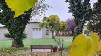 Instituto Universitario Patagónico de las Artes