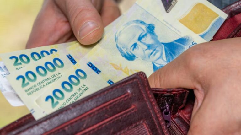 El Gobierno convocó al Concejo del Salario para actualizar el haber mínimo