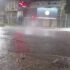 temporal lomas