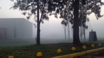 niebla unlz