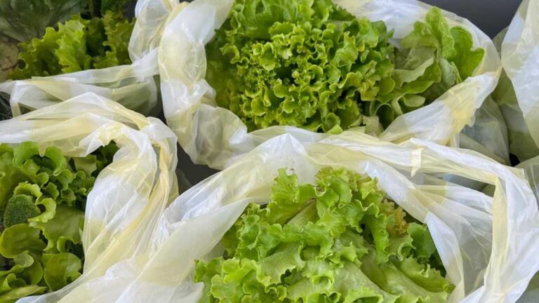 ¿Cuándo y dónde se pueden conseguir los productos orgánicos de Agrarias?