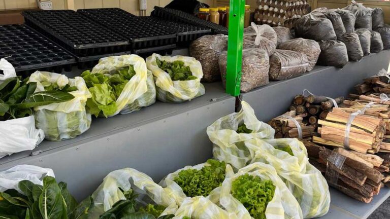La Facultad de Agrarias sale a vender sus productos
