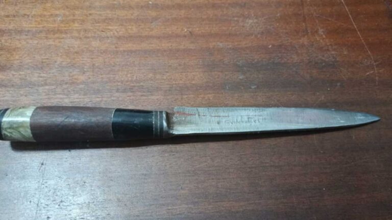 Pelea e intento de asesinato en el Conurbano